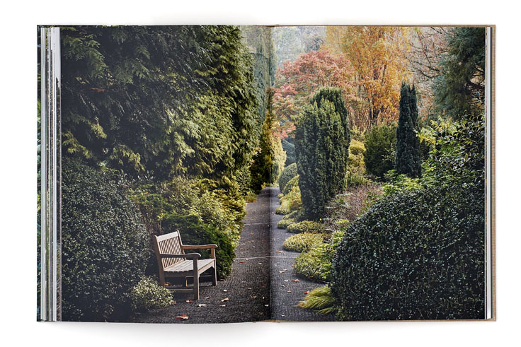 SABRINA ROTHE photography