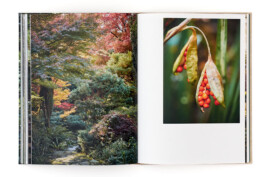 SABRINA ROTHE photography