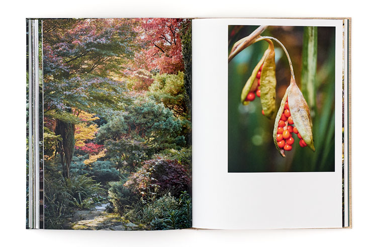 SABRINA ROTHE photography