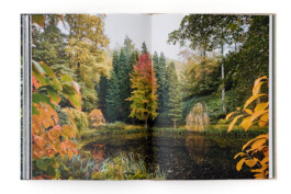 SABRINA ROTHE photography