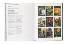 SABRINA ROTHE photography