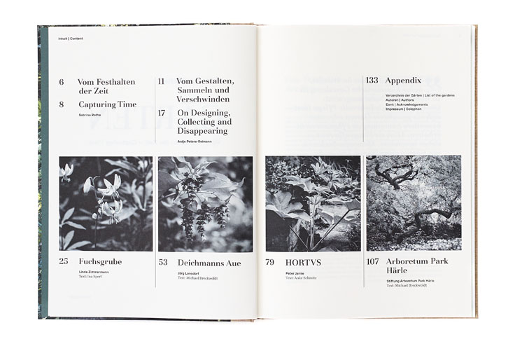 SABRINA ROTHE photography