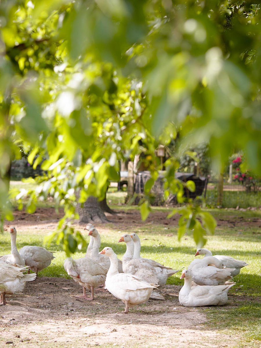 SABRINA ROTHE photography