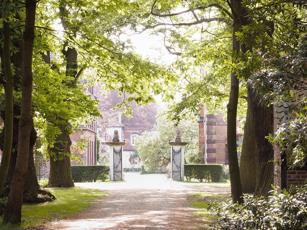 SABRINA ROTHE photography