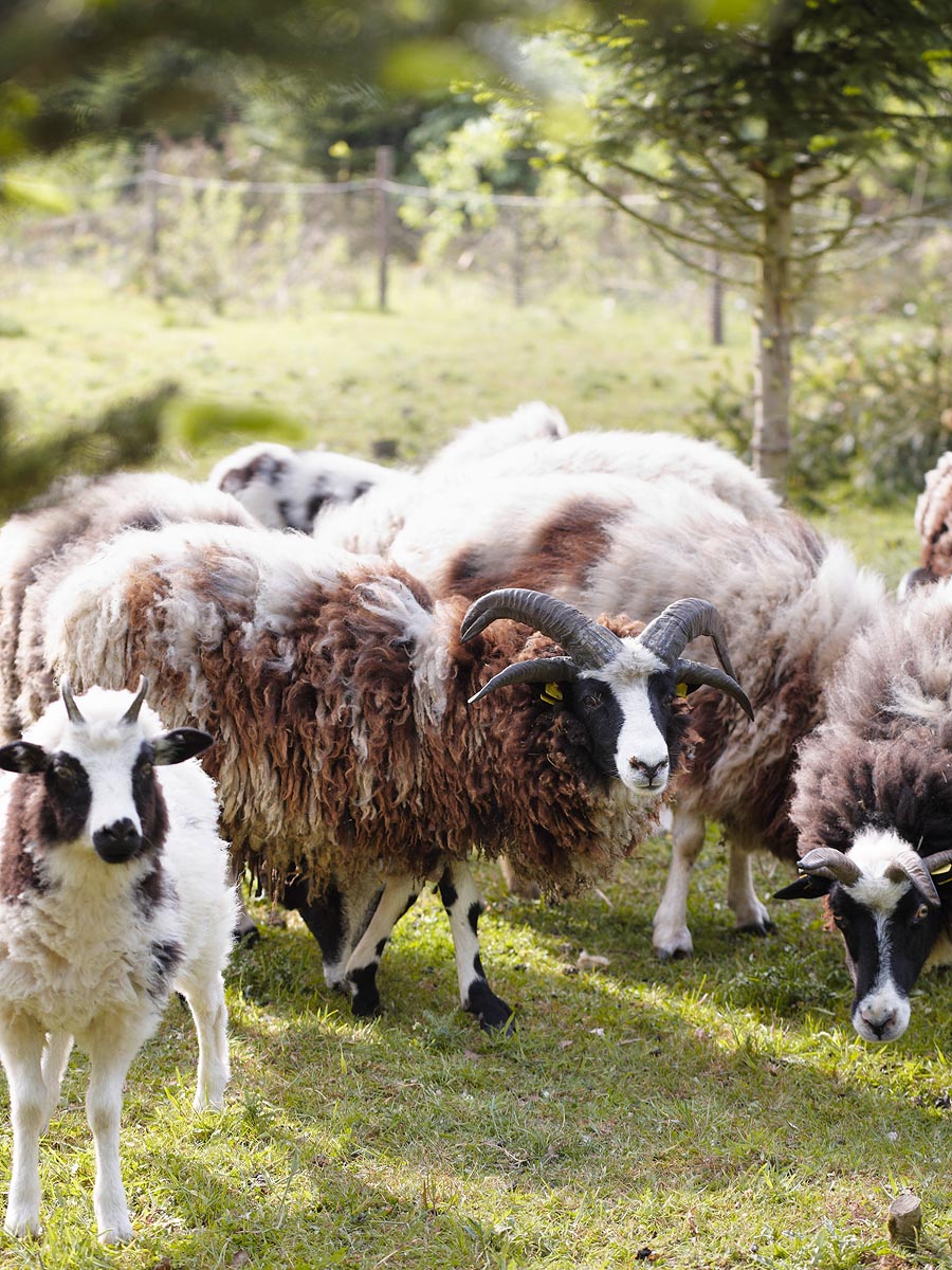 SABRINA ROTHE photography