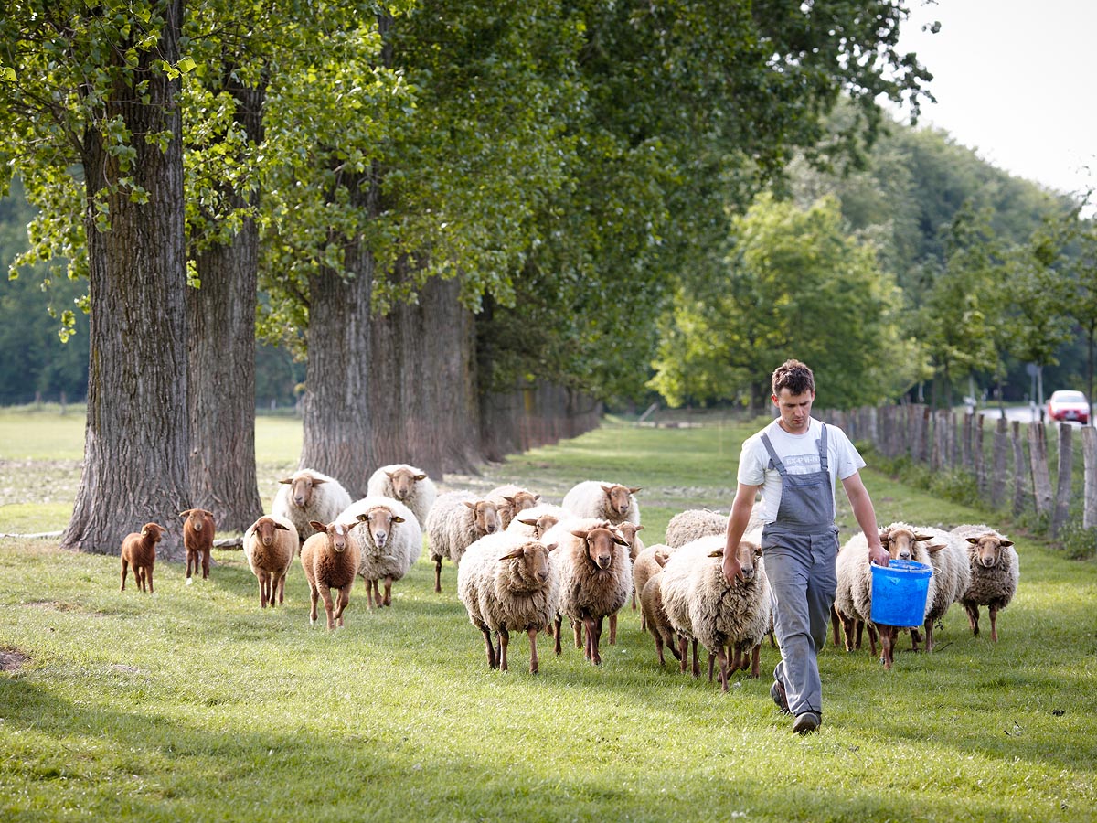 SABRINA ROTHE photography