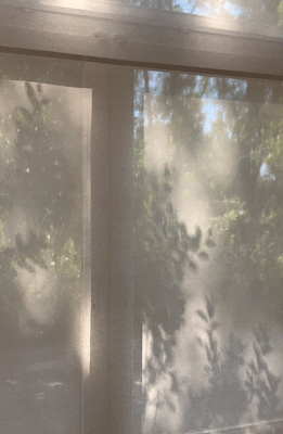 SABRINA ROTHE photography