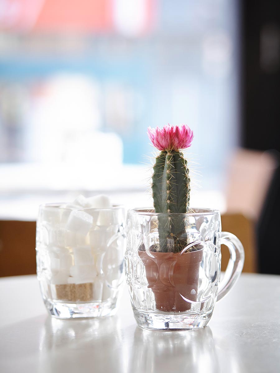 SABRINA ROTHE photography