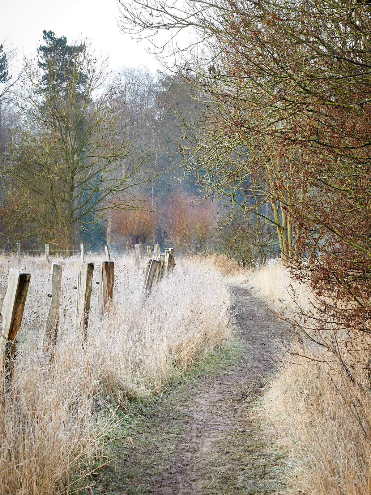 SABRINA ROTHE photography