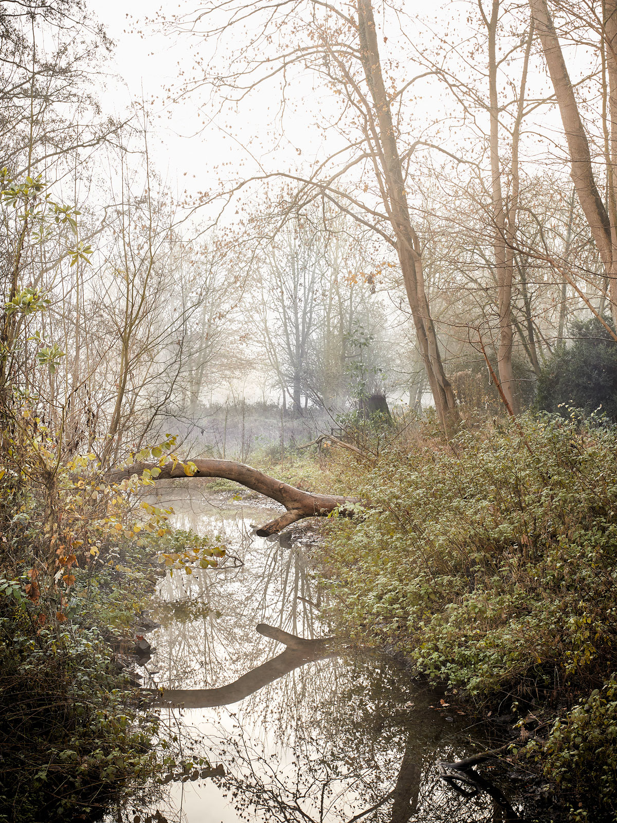 SABRINA ROTHE photography