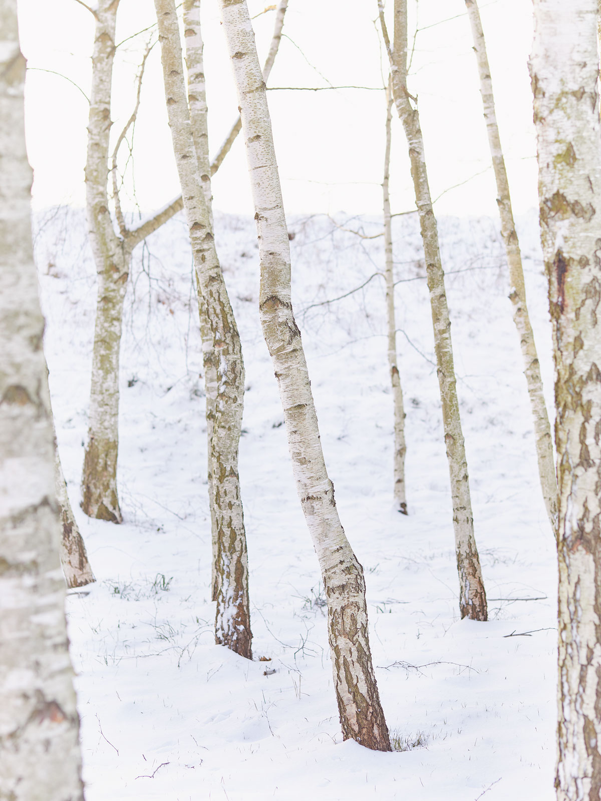 SABRINA ROTHE photography