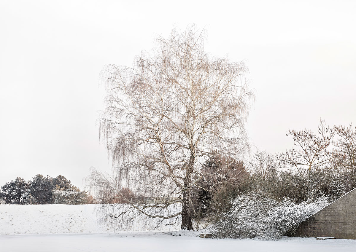 SABRINA ROTHE photography