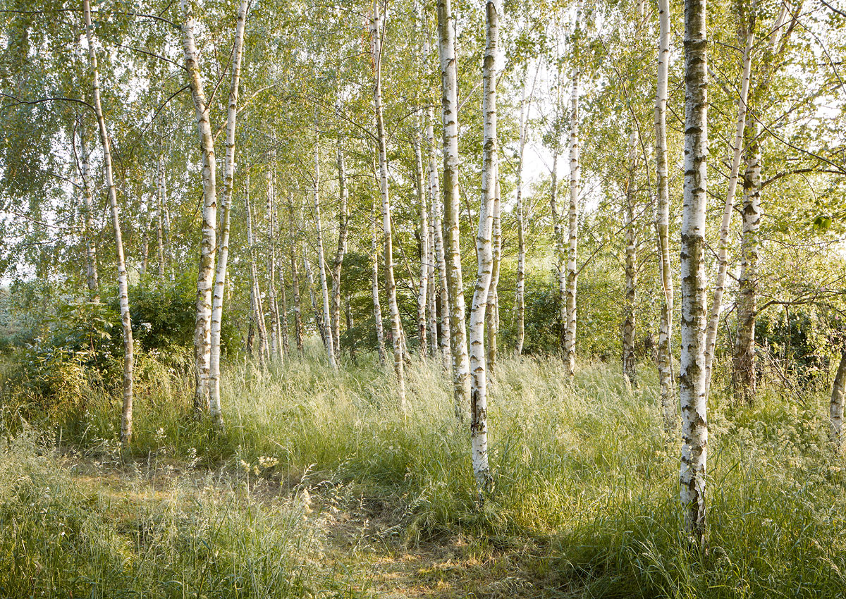 SABRINA ROTHE photography