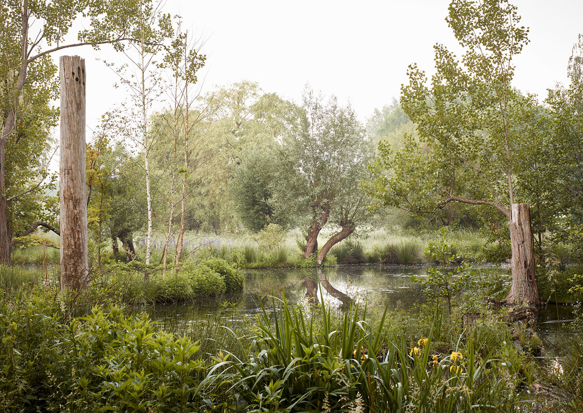 SABRINA ROTHE photography