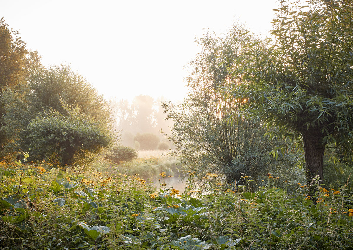 SABRINA ROTHE photography