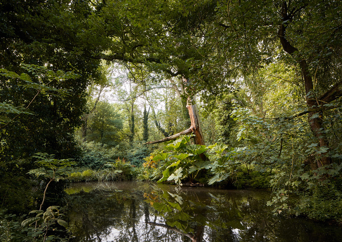 SABRINA ROTHE photography