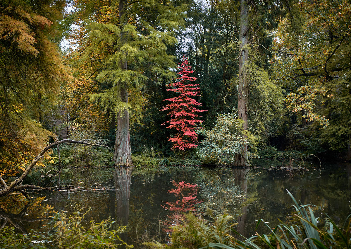 SABRINA ROTHE photography