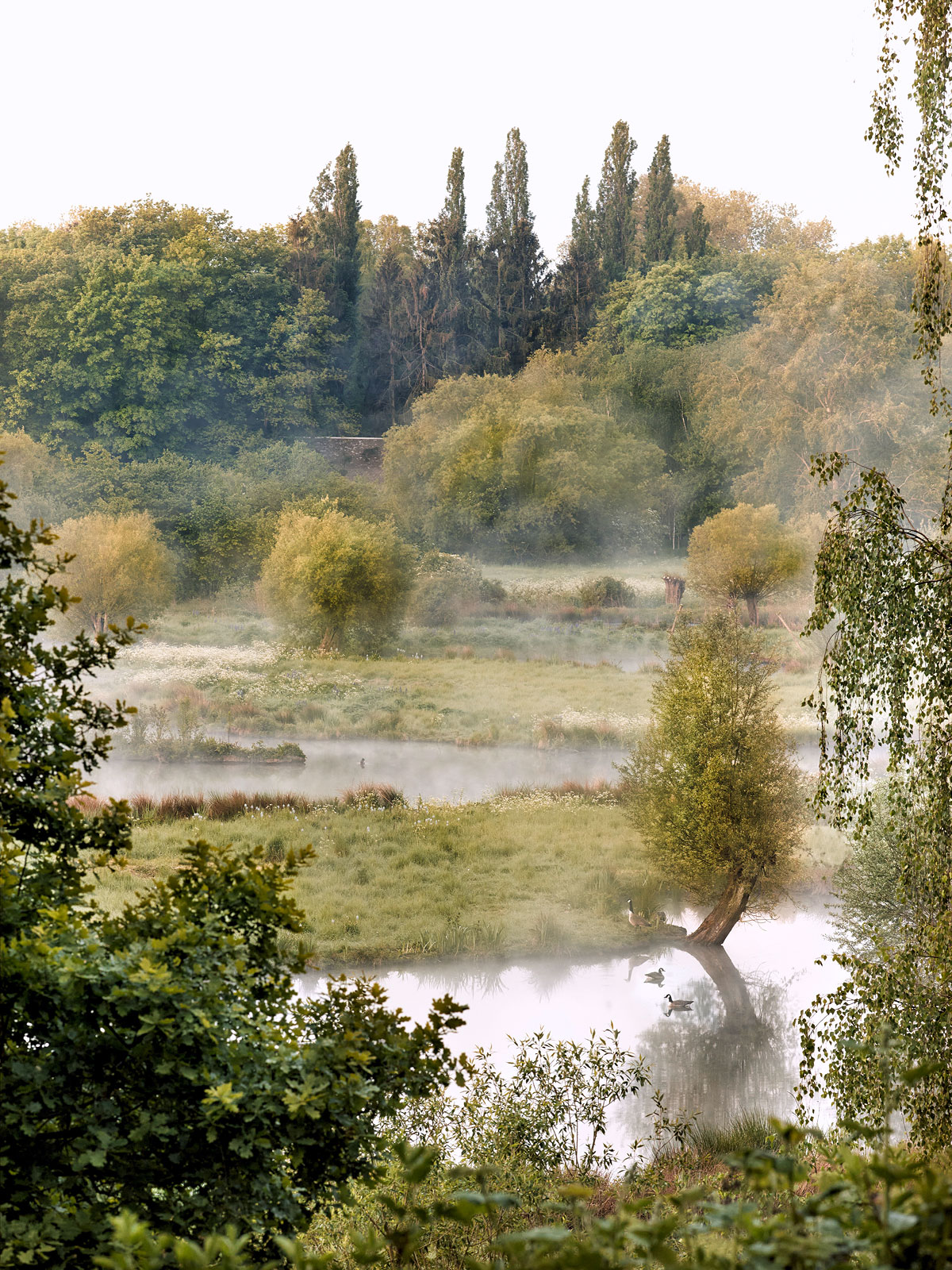 SABRINA ROTHE photography