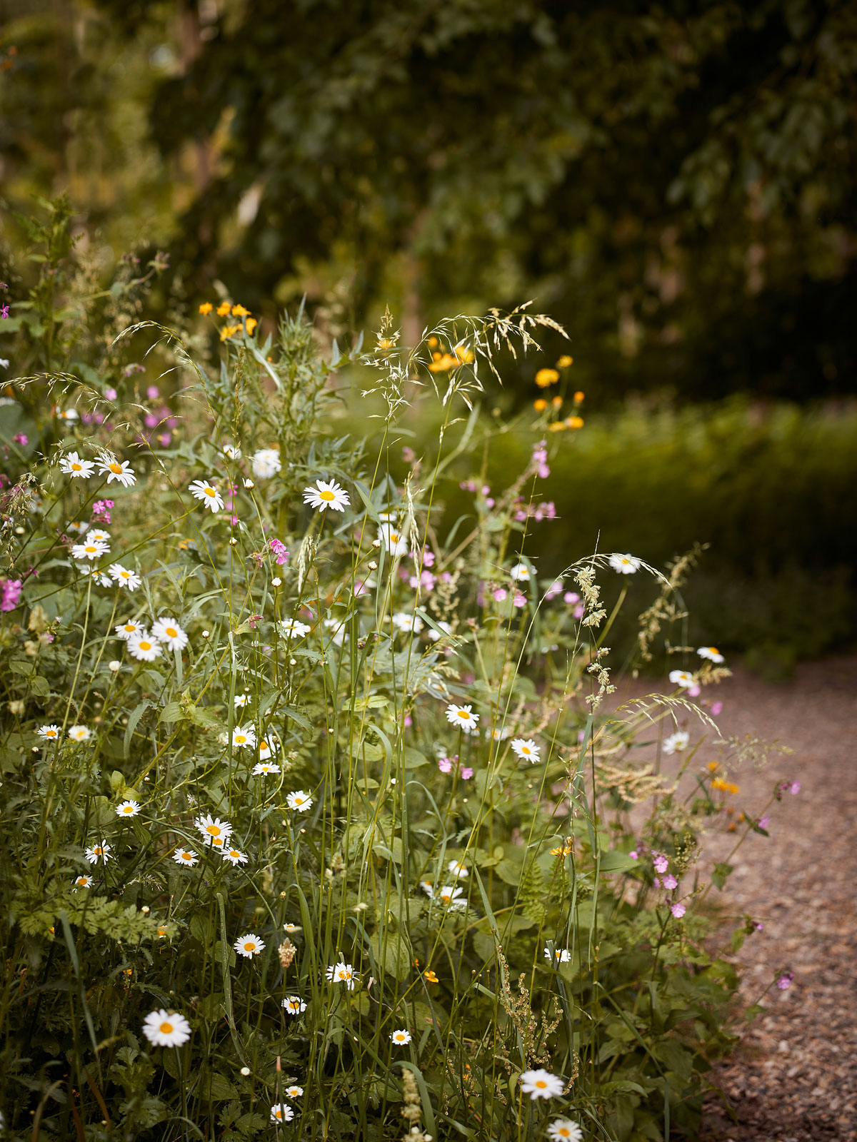 SABRINA ROTHE photography