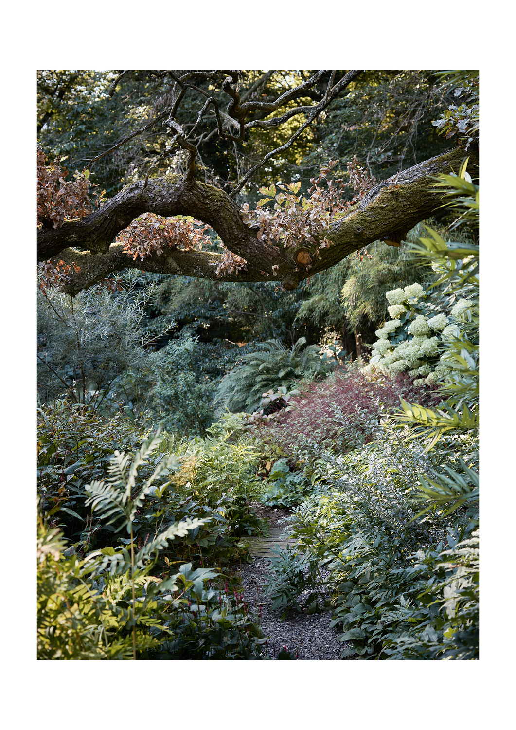 SABRINA ROTHE photography