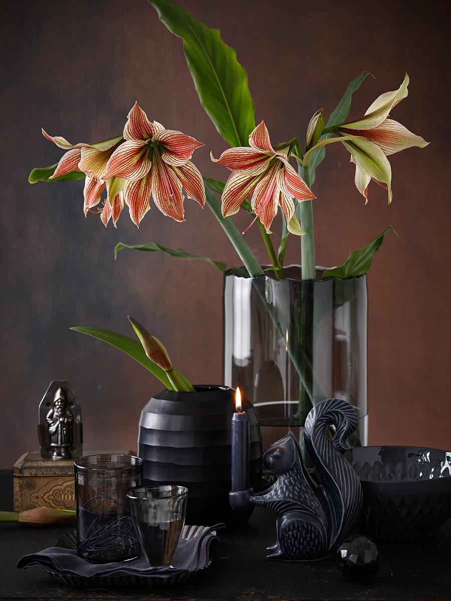 SABRINA ROTHE photography