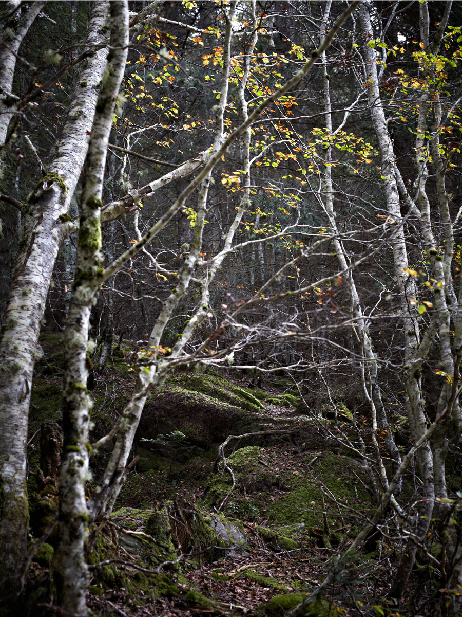 SABRINA ROTHE photography