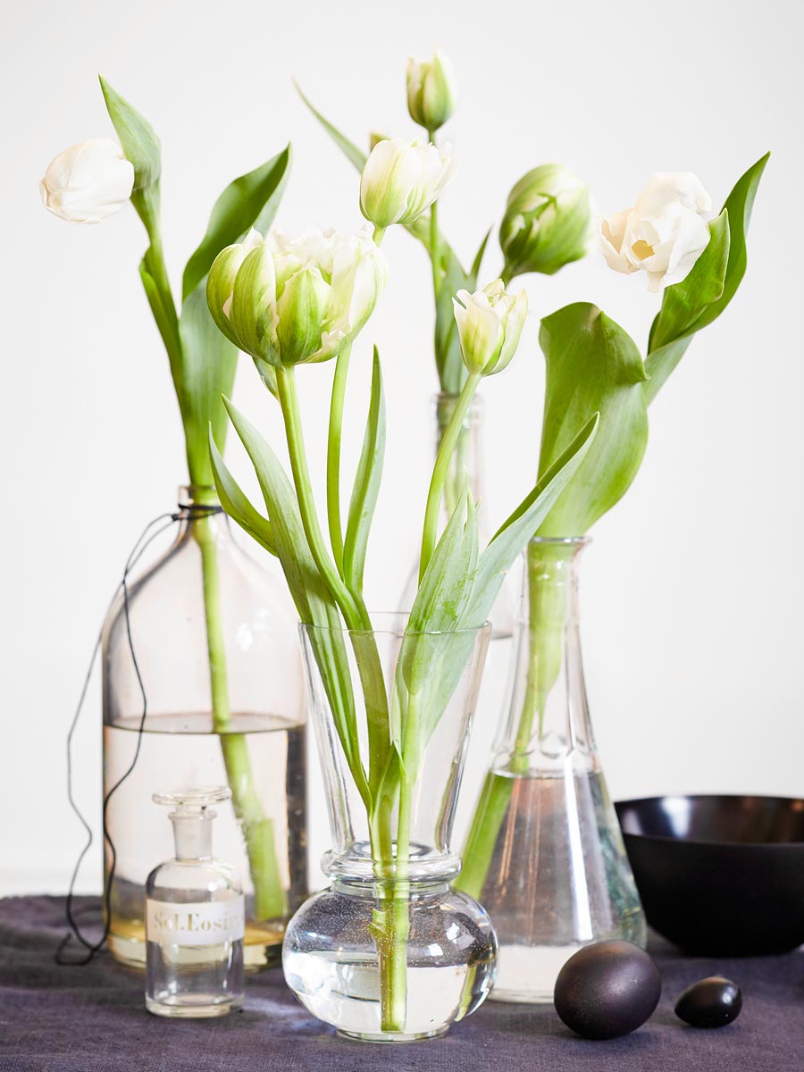 SABRINA ROTHE photography