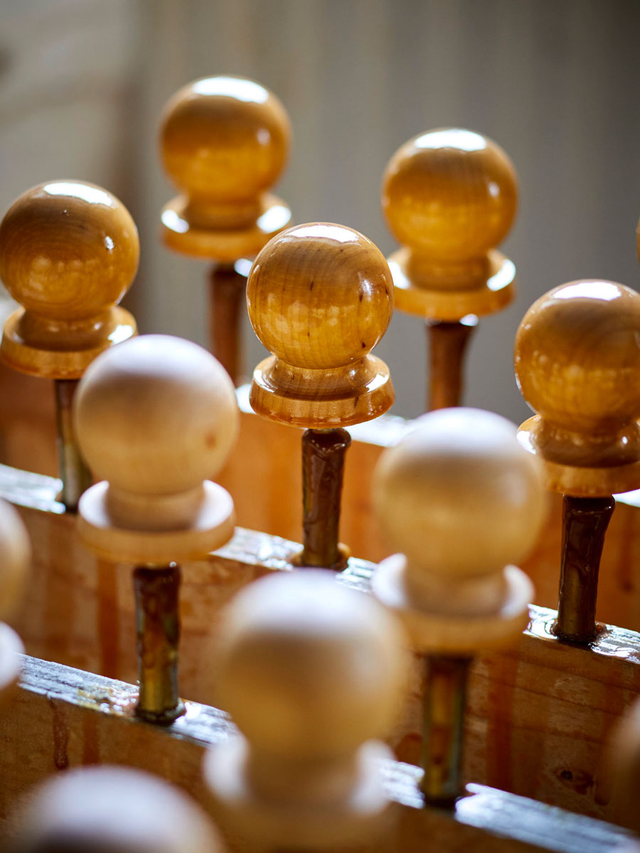 SABRINA ROTHE photography