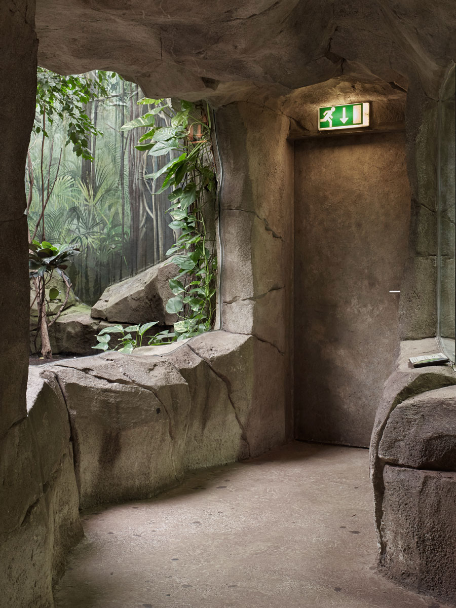 SABRINA ROTHE photography