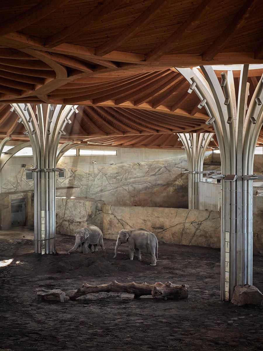 SABRINA ROTHE photography