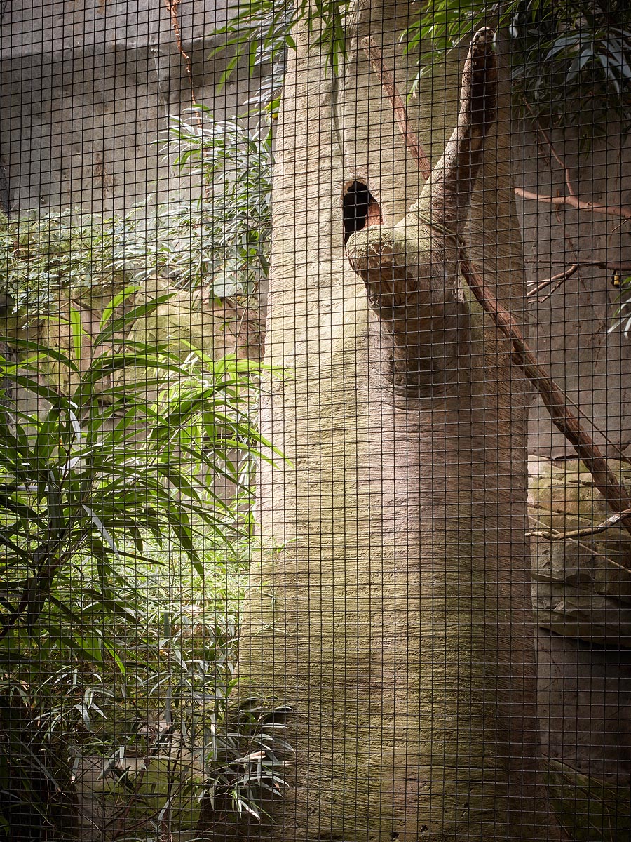 SABRINA ROTHE photography