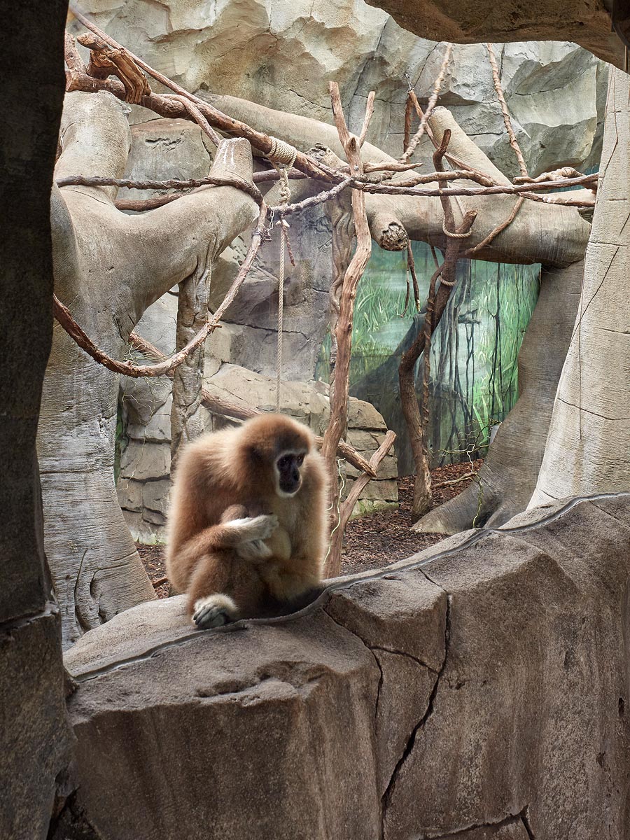 SABRINA ROTHE photography