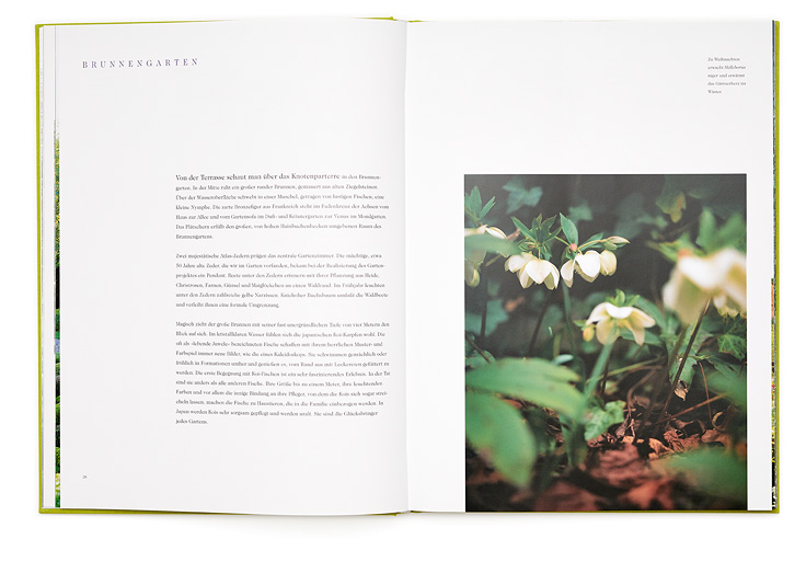 SABRINA ROTHE photography