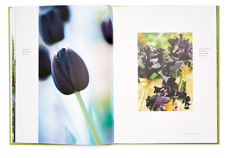 SABRINA ROTHE photography