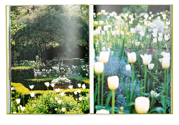 SABRINA ROTHE photography