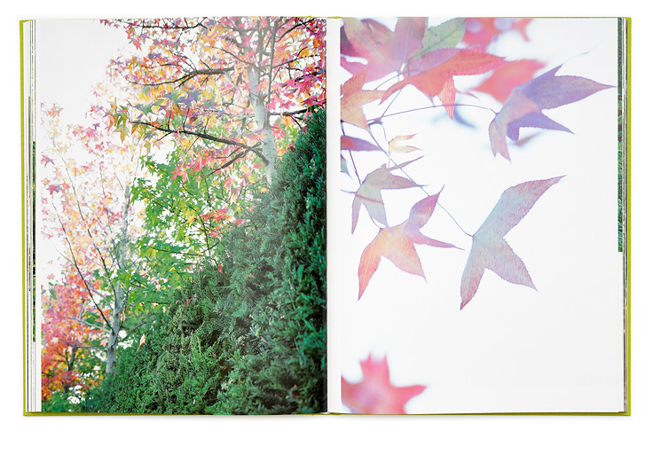 SABRINA ROTHE photography