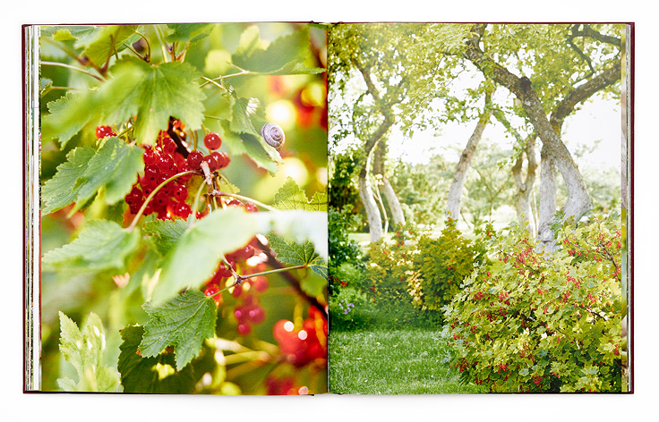 SABRINA ROTHE photography