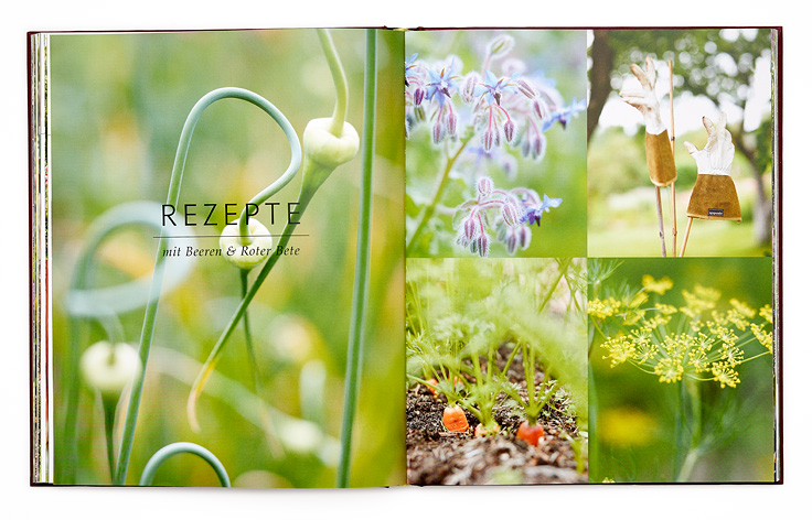 SABRINA ROTHE photography