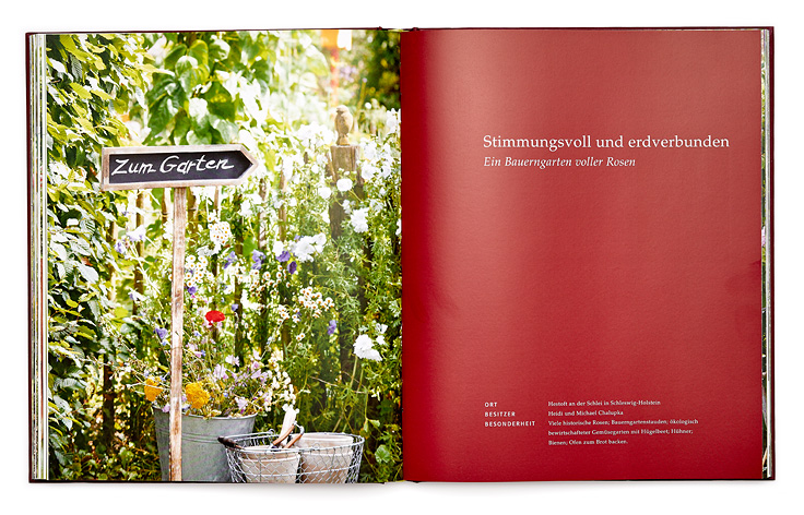 SABRINA ROTHE photography