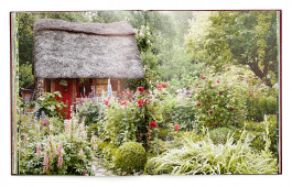 SABRINA ROTHE photography