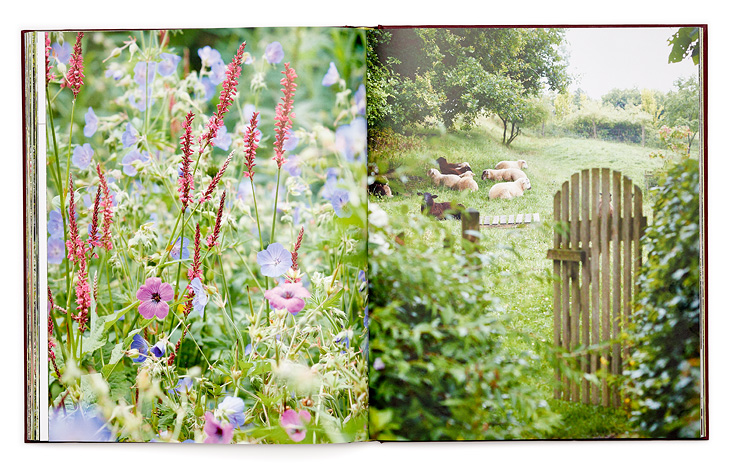 SABRINA ROTHE photography