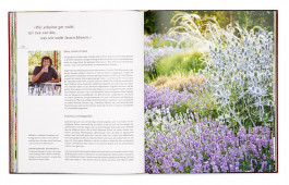 SABRINA ROTHE photography