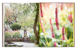 SABRINA ROTHE photography