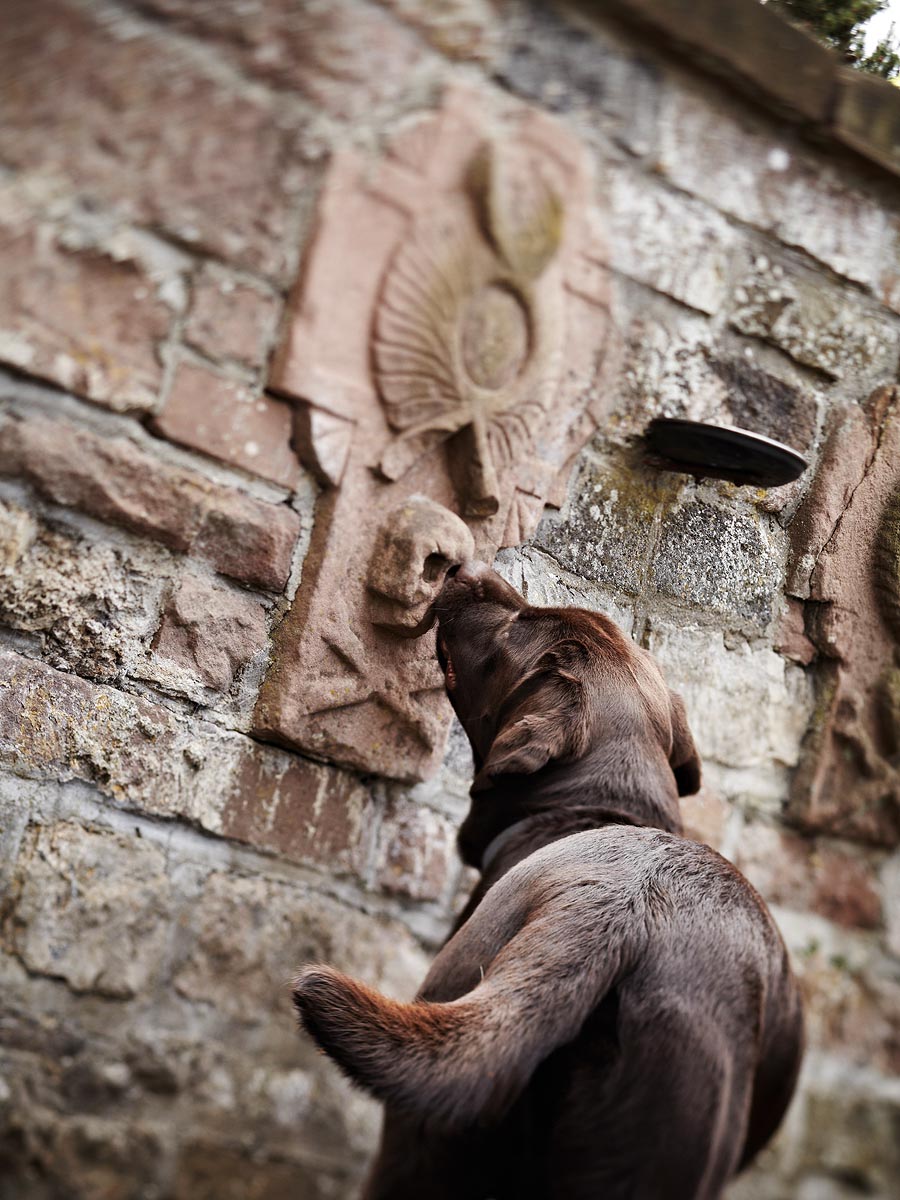 SABRINA ROTHE photography