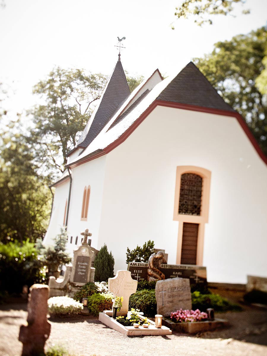 SABRINA ROTHE photography