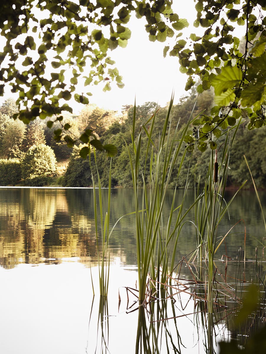 SABRINA ROTHE photography