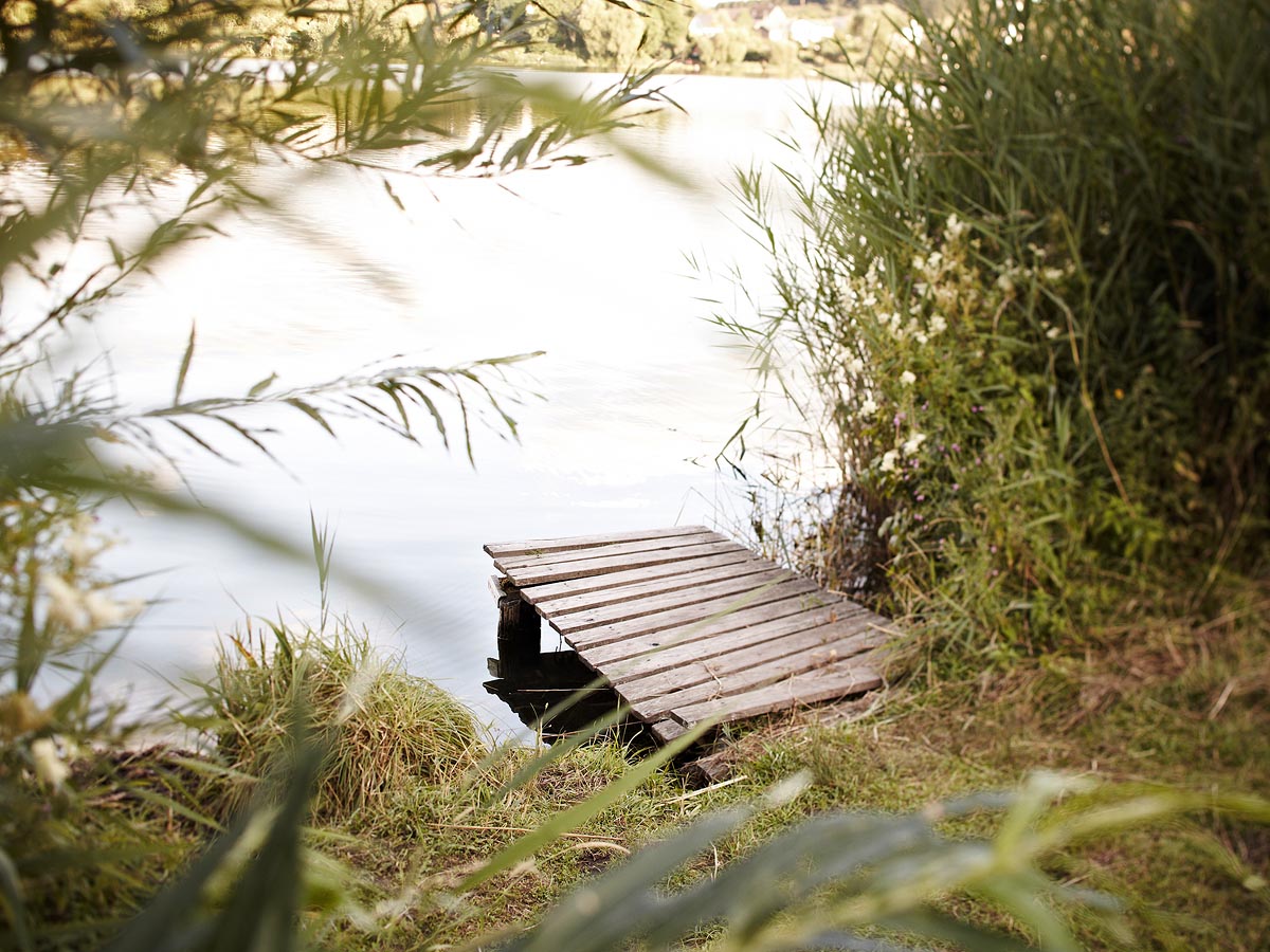 SABRINA ROTHE photography