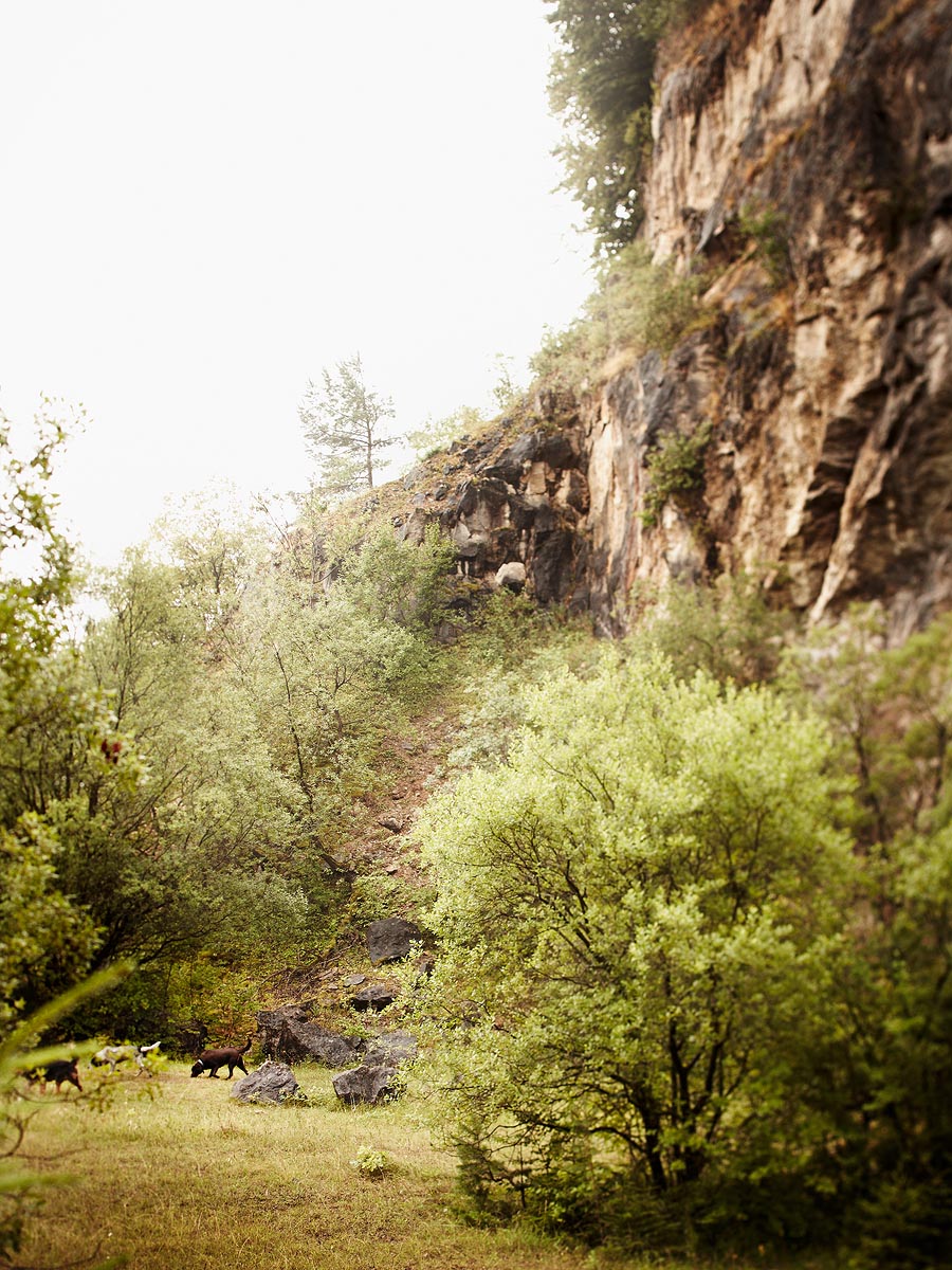 SABRINA ROTHE photography