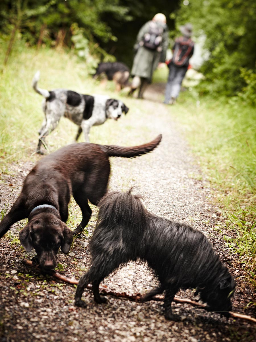 SABRINA ROTHE photography