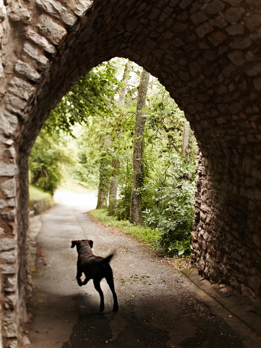 SABRINA ROTHE photography